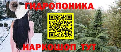 ГАЛЛЮЦИНОГЕННЫЕ ГРИБЫ Кунгур