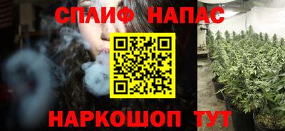 сатива Кизилюрт
