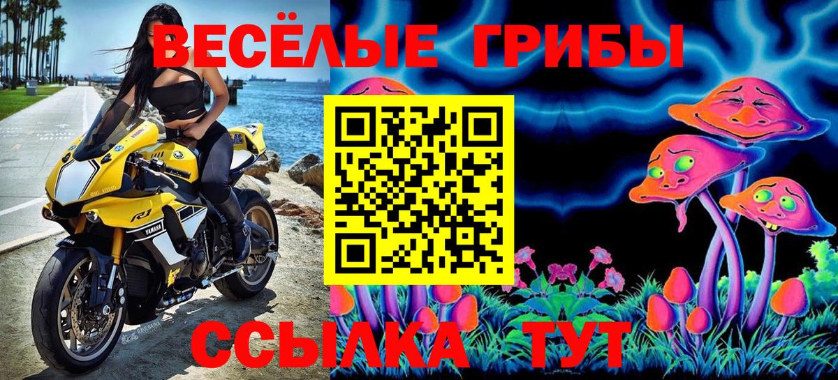 Псилоцибиновые грибы Psilocybine cubensis  Псилоцибиновые грибы мицелий  Гай  Вход с VPN 