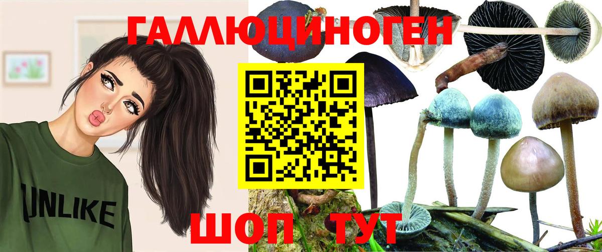 Псилоцибиновые грибы Psilocybe Гай